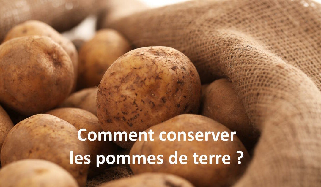 Comment faut-il conserver les pommes de terre ?